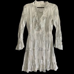 En Creme Silver & White dress.  NWT